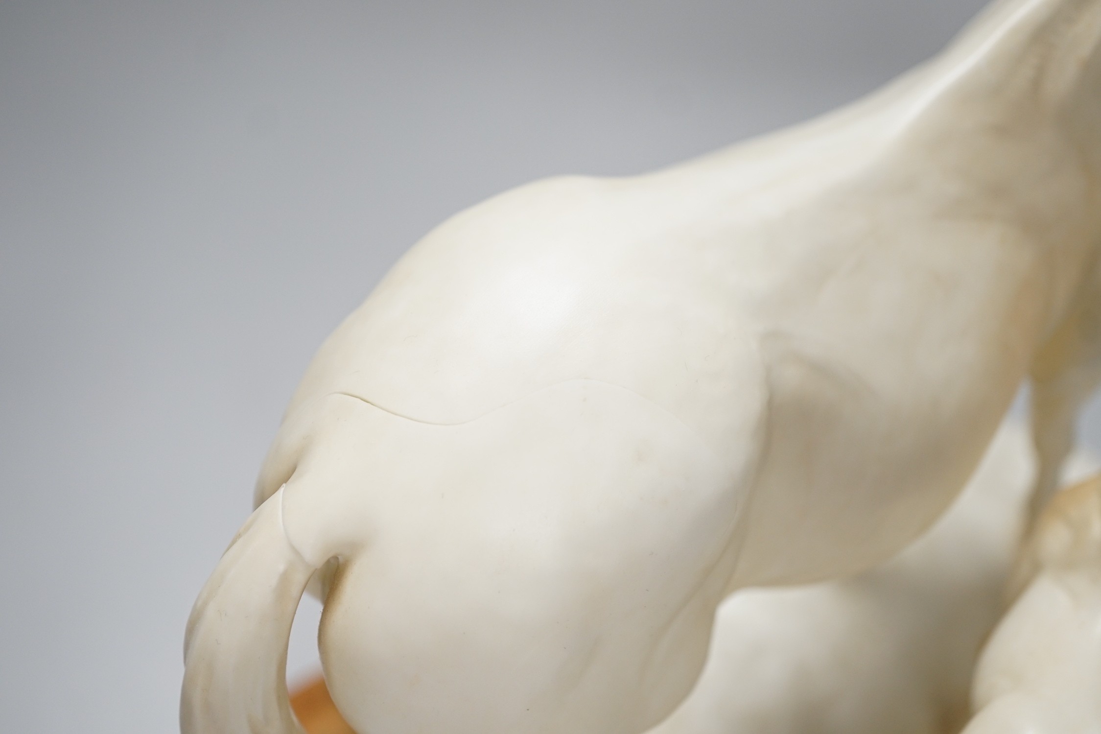 A Royal Worcester group ‘’Princess Grace and Foal’’, modelled by Doris Lindner (cracked). 22.5cm high